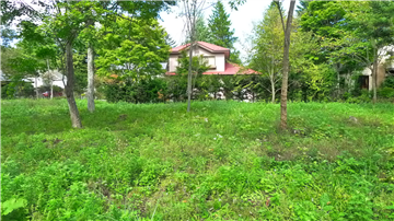 敷地内（北側を撮影）