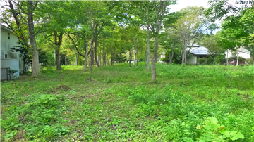 敷地内（北西側を撮影）