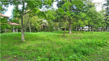 中軽井沢　区画 １