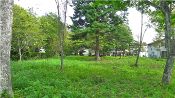 敷地内（東側を撮影）