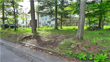 道路から見た敷地（南西側を撮影）