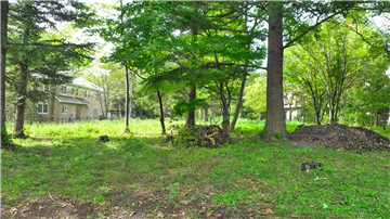 東側道路から見た敷地（西側を撮影）