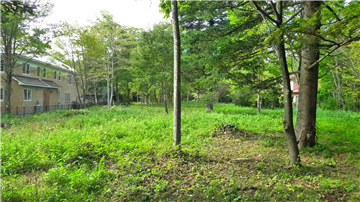 敷地内（西側を撮影）