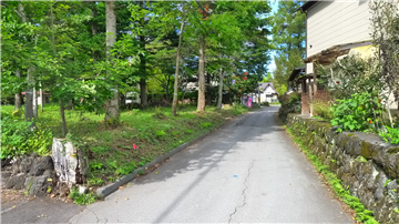 前面道路（北方向を撮影）