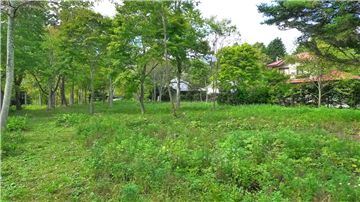 中軽井沢　区画 ２