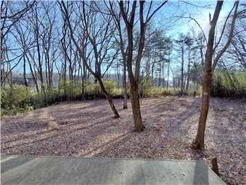 テラスより南方向の眺望