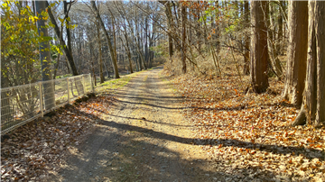 前面道路／西方向を撮影