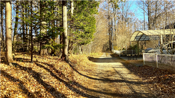 前面道路／東方向を撮影
