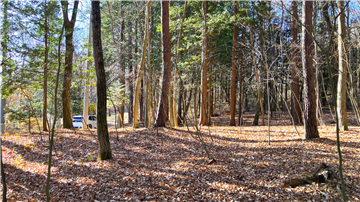 敷地南西方向を撮影