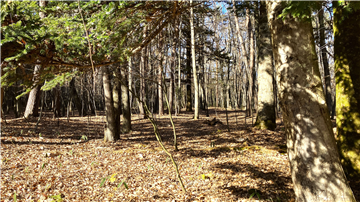 敷地北西方向を撮影