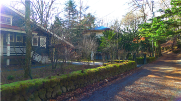 前面道路から敷地内（南方向を撮影）