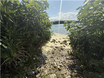 敷地から海岸へ直接アクセスできます