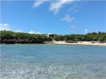 敷地南側海上から見た外観