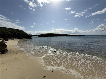 敷地南側のビーチ(約3m)