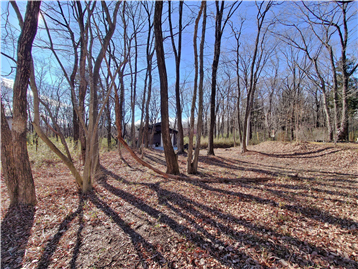 敷地内北東側より南西方向