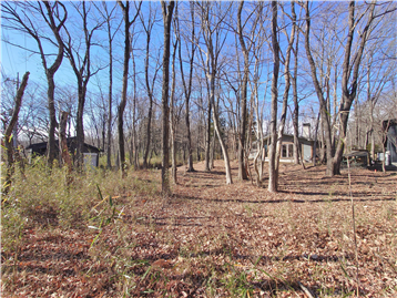 敷地内東側より西方向