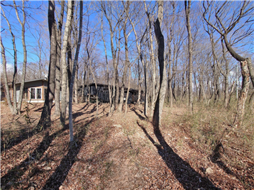 敷地内南側より北方向