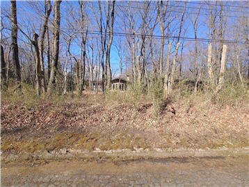 南東側接面道路より敷地内北西方向