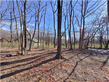 敷地内北西側より南東方向