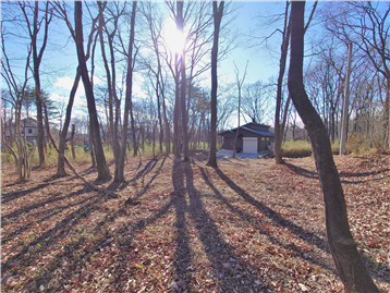 敷地内北側より南方向