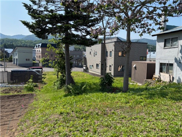 敷地北側より南方向を撮影