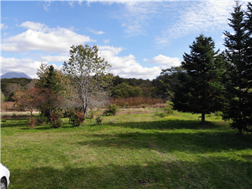 敷地内から北東方向を撮影