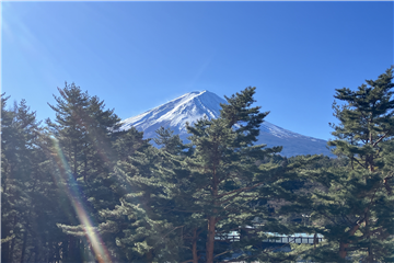 ＬＤＫからの眺望