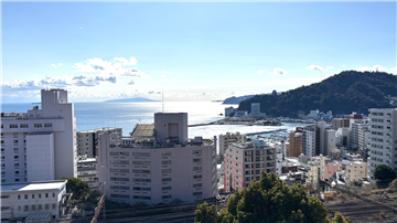 バルコニーからの眺望/熱海海上花火大会を高台から望みます