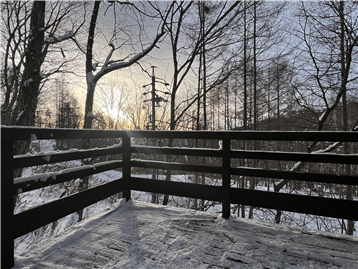 バルコニーからの眺望(南西方向を撮影)