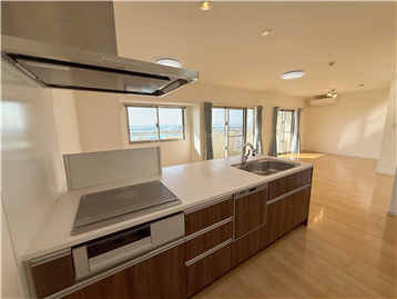 ビルトイン食洗機、IHクッキングヒーター付きのキッチン