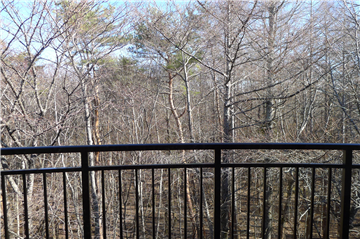 バルコニーからの眺望／北東方向を撮影