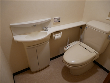 カウンター付きの手洗いが別に備わるトイレ