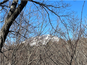 ウッドデッキから望む浅間山（北西側）