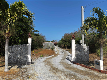 南側接道から敷地入口を撮影