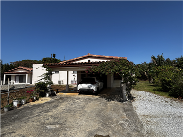 外観／南側から撮影