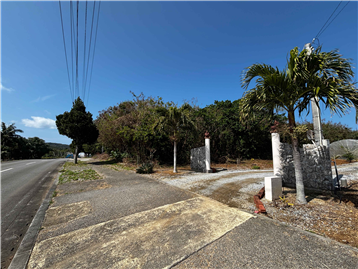 敷地入口から西方向を撮影