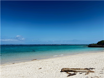 サダハマビーチまで直線距離で約50m