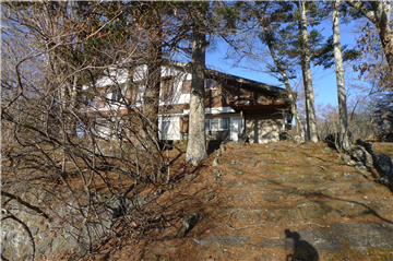 敷地内(古家付)/前面道路から北東方向を撮影