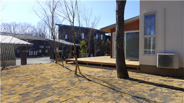 お庭（ウッドデッキ方向を撮影）