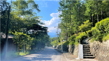 前面道路(北方向を撮影)