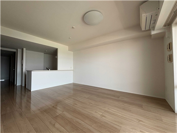 LDからキッチン方向を撮影