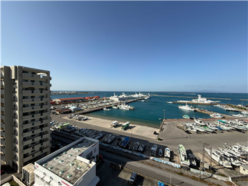 バルコニーからの眺望／南方向を撮影