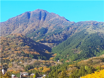 箱根外輪山の金時山