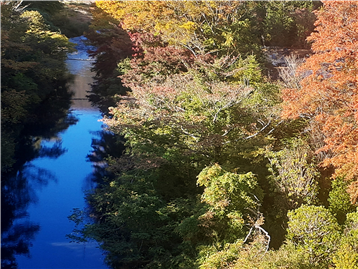 眼下には早川が流れています