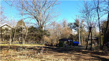 敷地東方向を撮影