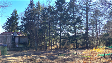 敷地南西方向を撮影