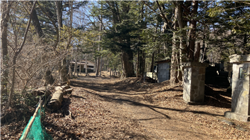 敷地北側道路／西方向を撮影