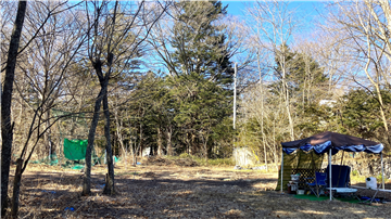 敷地北方向を撮影