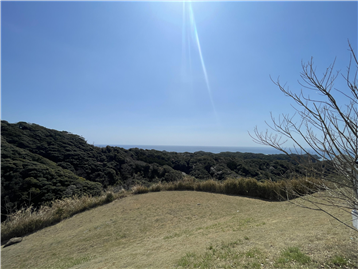 バルコニーからの眺望/南方向を撮影