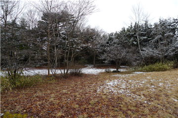 敷地西側/西方向を撮影